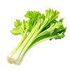 🥬
