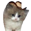 🤠