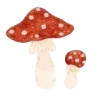 🍄