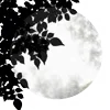 🌕