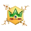 👑