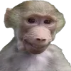 🥋