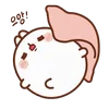 🐰