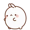 🐰