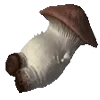 🍄