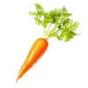 🥕