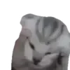 😱
