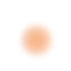 🟠
