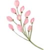 🌸