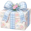 🎁