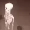 💀
