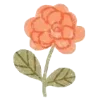🌺