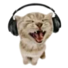 🎧