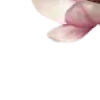 🤩