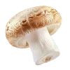 🍄