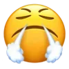 😤