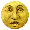 🌚