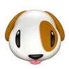 🐶
