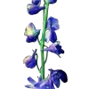 ♾