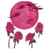 🌝