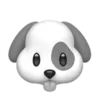 🐶