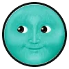 🌚