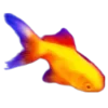 🐟