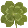 🍀