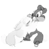 🤍