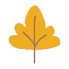 🍂