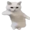 😺