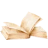 📖