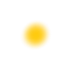 🟡