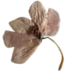🌸