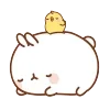 💤