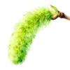 🌳