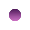 🟣