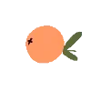 🍊