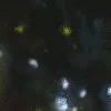🌟