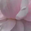 🤩