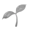 🌱