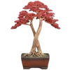 🪵