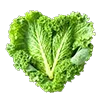 🥬