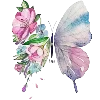 🦋