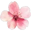 🌸
