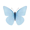🦋