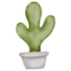 🌵
