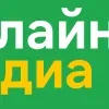 ❇️