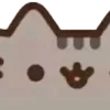 ⭐