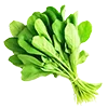 🥬